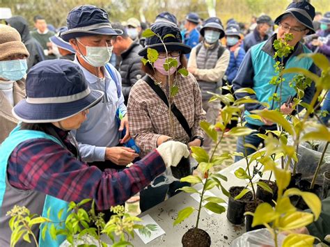 福木樹|臺灣原生樹木推廣及媒合平臺